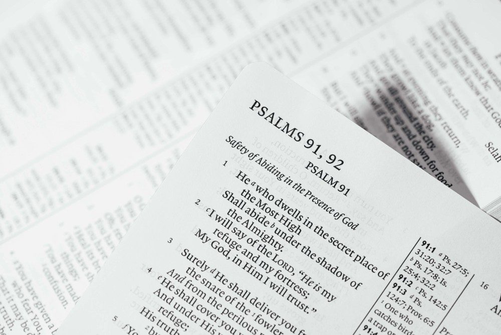 Fund. Video Album 3: God's Plan &amp; Purpose
